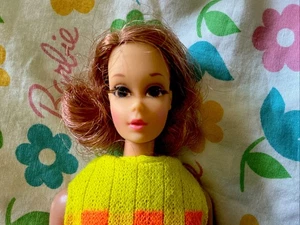 Barbie vintage WALKING JAMIE FURRY FRIENDS Tiziano #1132 1970 in abito EXC - Foto 1 di 10