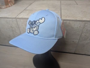 New Era Wilmington Blue Rocks Baseball Hat Men's MiLB Adjustable Read Desc. - Picture 1 of 5