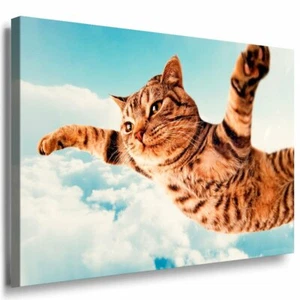 Katze Leinwandbild AK Art Bilder Mehrfarbig Wandbild Kunstdruck Wanddeko TOP XXL - Bild 1 von 3