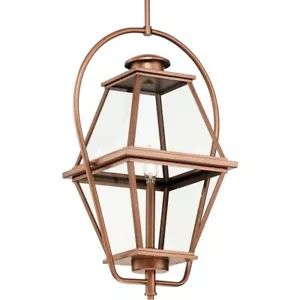 Progress Lighting P550138-169 Bradshaw - 1 Light Outdoor Hanging Lantern In - Picture 1 of 4