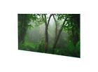 Glasbilder Wandbild Druck auf Glas Asiatischer Regenwald 100x50 cm