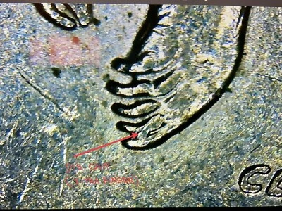 2008 D Alaska State Quarter - Die Chip ( Extra Claw ) - Image 1 of 4