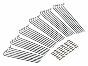 36 raggi 17 pollici 3,1 x 163 mm ciclomotore mokick cerchio motorino WSK DKW NSU PUCH MZ Jawa - Foto 1 di 1