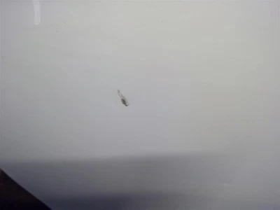 FRONT DOOR Audi A4 Allroad S4 12 13 14 15 16 Left White 1373578 - Image 1 of 4