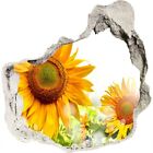 Aufkleber Wandsticker Geschenk Wandtattoo Dekoration 75x75 cm Sonnenblumen 
