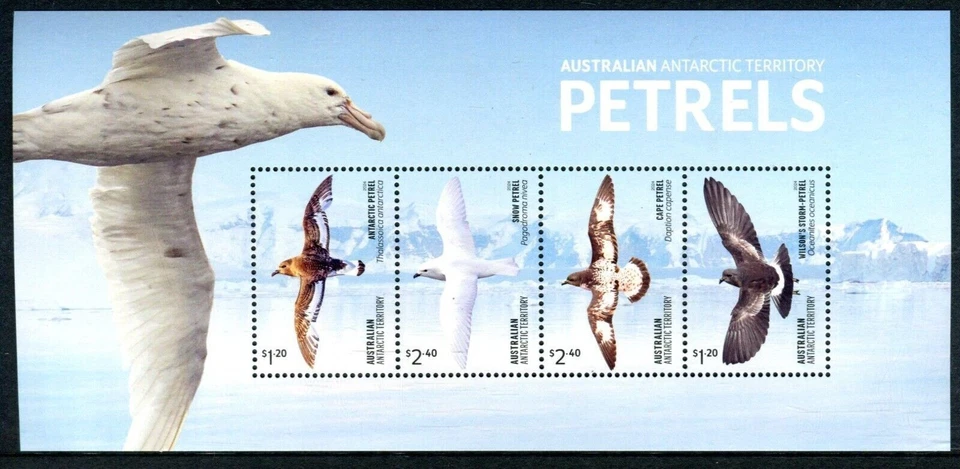 Territorio Antártico Australiano (AAT) 2024 - Hoja de Petreles Antárticos - MNH Foto 1 de 1