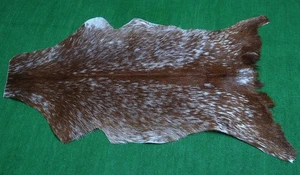 Luxury Goat hide Rug Hair on Area rug Size 36"x22" Animal Leather Goat Skin G161 - Picture 1 of 3