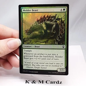 Molder Beast - Foil - #243 - Commander Legends - MTG - Picture 1 of 4