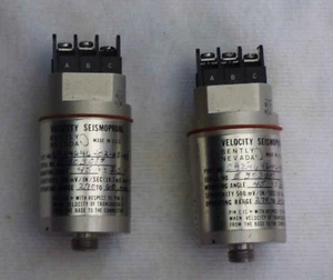 Bently Nevada CA24646 Velocity Sismoprobe - Foto 1 di 1