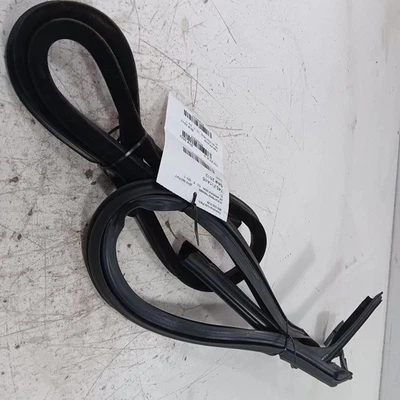 Fiat 500 Door Glass Window Seal Rubber Right Passenger Front 2017 2016 2015 2014 - Image 1 of 4