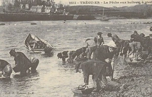 CP Repro 315 Tréguier La pêche aux huîtres à pied - Imagen 1 de 2