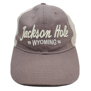 Jackson Hole Wyoming Embroidered Snapback Adjustable Hiker Hat EUC - Picture 1 of 4
