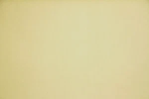 LITE YELLOW COTTON BLEND BROADCLOTH FABRIC 27X44 + INCHES - Picture 1 of 1