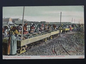 Norfolk GT. YARMOUTH Harbour & Scotch Fishergirls c1904 Postcard by Clowes Store - Picture 1 of 4