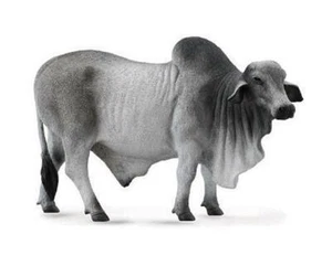 CollectA NIP * Grey Brahman Bull * 88579 Breyer Cow Model Toy Figurine Replica - Picture 1 of 6