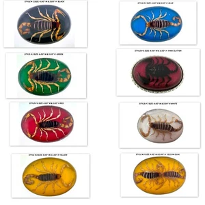 Vintage Real Scorpion Belt Buckle Preserved Inlay Zodiac Sign Men Women Lucky - Picture 1 of 82