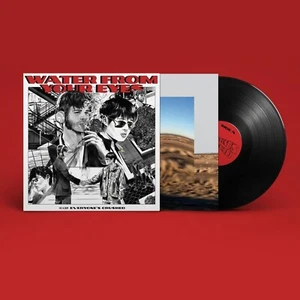 Water From Your Eyes - Everyone's Crushed LP Matador Records - Bild 1 von 1