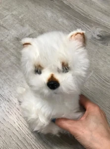 Russ Peluche Perro Cachorro Yomiko Clásicos West Highland Terrier Blanco Westie 7" - Imagen 1 de 2