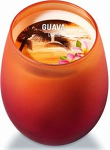Bath and Body Works GUAVA COLADA Single Wick Candle - 7 oz. NEW/NEVER LIT - Picture 1 of 3