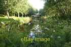 Photo 6x4 The unseen brook Whitley/SU7170 Foudry Brook flows unseen by m c2008