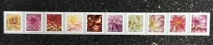 2025USA #5982-5991a Forever Dahlias - Plate Number PNC Coil Strip 10 Mint - Picture 1 of 2