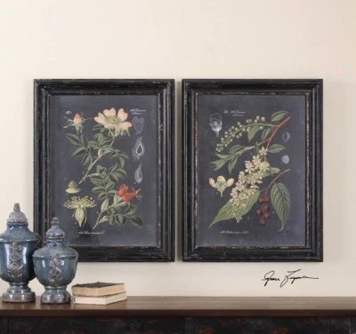 Arte de pared Uttermost 56053 Midnight Botanicals impresiones enmarcadas flores 32 pulgadas x 24 pulgadas Foto 1 de 3