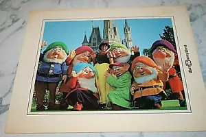 Foto brillante de 9""x7"" de Blancanieves y 7 enanos - Imagen 1 de 1
