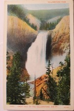 Yellowstone National Park Great Falls Postcard Old Vintage Card View Standard PC