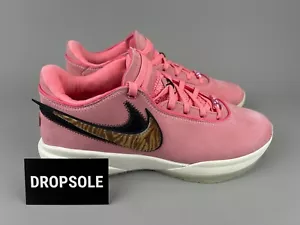 Nike Lebron James 20 XX "South Beast" | Pink | Size 11 | DQ3828-900 **B-GRADE** - Picture 1 of 9