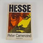 Peter Camenzind A Novel by Herman Hesse 1973 Noonday N 369 Paperback