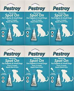 6 Pestrroy Flea & Tic treatment Puppies & Small Dogs *SPECIAL OFFER 5 + 1 FREE!*