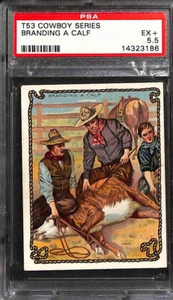 T53 Hassan Cigarettes, Cowboy Series, 1910, Branding A Calf, PSA 5.5 EX+ - Picture 1 of 2