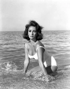 Póster de Elizabeth Taylor - De repente, el último verano - - Imagen 1 de 1