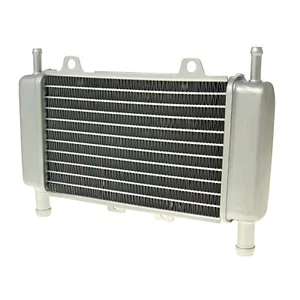 Radiador para Gilera Runner (-05) - Imagen 1 de 5