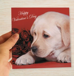 Valentinstag Karte Labrador Hund Rosen Anzug Freund Freundin Ehemann Frau  - Bild 1 von 8