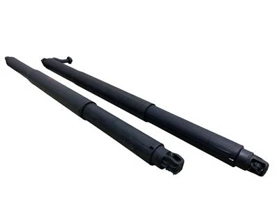 2023 2024 BMW X1 U11 POWER LIFTGATE SHOCK SUPPORT STRUT SET x2 W/COMFORT ACCESS Foto 1 de 4