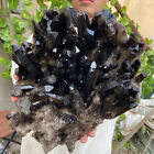 23lb Large Natural Smoky Black Quartz Crystal Cluster Raw Mineral Specimen