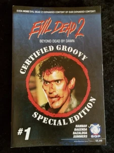 Evil Dead 2 Beyond Dead by Dawn Groovy Edición Especial #1 Primera Impresión - Imagen 1 de 2