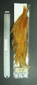 Metz #2 Barred Variant ALMOST CREE Neck Dry Fly Fly Tying Cape - Picture 1 of 8