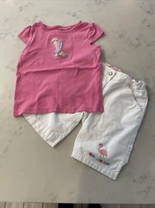 Gymboree “Palm springs ‘08” Bermuda Flamingo Shorts & Tropical Soda Tee Sz 6 EUC - Picture 1 of 6