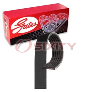 Gates Micro-V Serpentine Belt for 2016-2020 Jeep Grand Cherokee 3.6L V6 lz - Picture 1 of 5