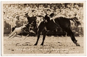 1938 Reno, Nevada Rodeo - REAL PHOTO Cowboy Bucked from Bronco - Old Postcard - Picture 1 of 2