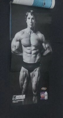 Muscular Development Magazine April 2011 Arnold Schwarzenegger Ava Cowan Poster - Image 1 of 4