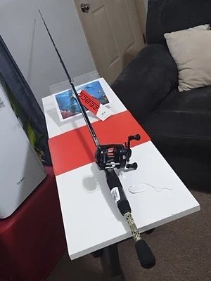 Удилище рыболовное Baicasting Zebco 6 футов 6 дюймов MH 10-20 фунтов и катушка Shakespeare SKP 1500 - Изображение 1 из 4