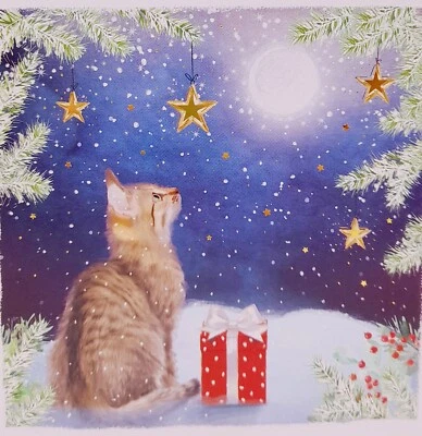 Cats Protection Christmas Cards Moonlight Cat 2024 pack of 10 with Envelopes