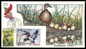 Duck FDC - IN16 1991 Indiana - Imagen 1 de 1