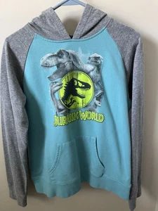 Jurassic Park World Dinosaur Raptor TRex Turq Hoodie Boys Size 18 Ex. Large EUC - Picture 1 of 11