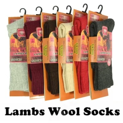 60 Pairs Women Heavy Duty Winter Warm Merino Lambs Wool Socks Size 9-11 - Image 1 of 4