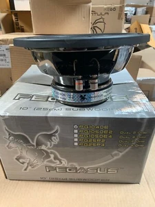  Pegasus PG1040E 10′′ Tieftöner 120W RMS 240 Watt Max 4 Ohm Schwingspulen NEU - Bild 1 von 4