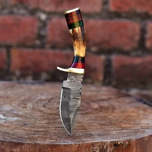 CUSTOM HANDMADE DAMASCUS STEEL HUNTING SKINNING KNIFE STAG HORN HANDLE SURVIVAL - Picture 1 of 5